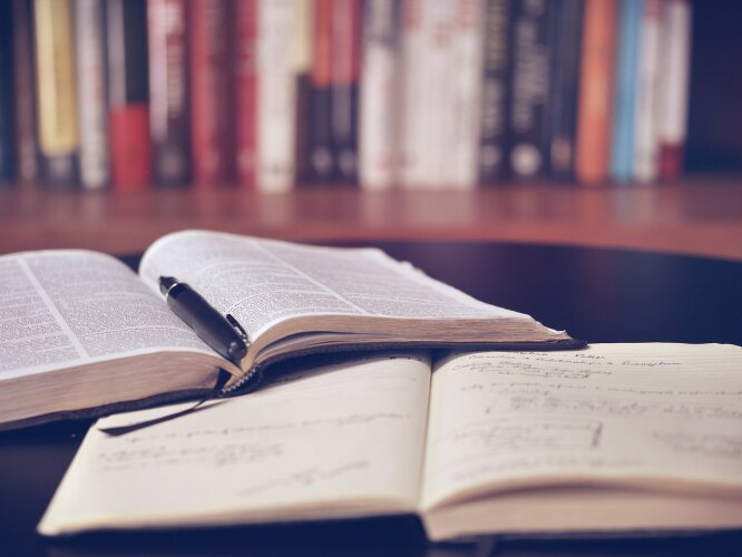 Asmeniui, už piniginį atlygį žadėjusiam paruošti įvairius mokslinius darbus – priverstinis gydymas 